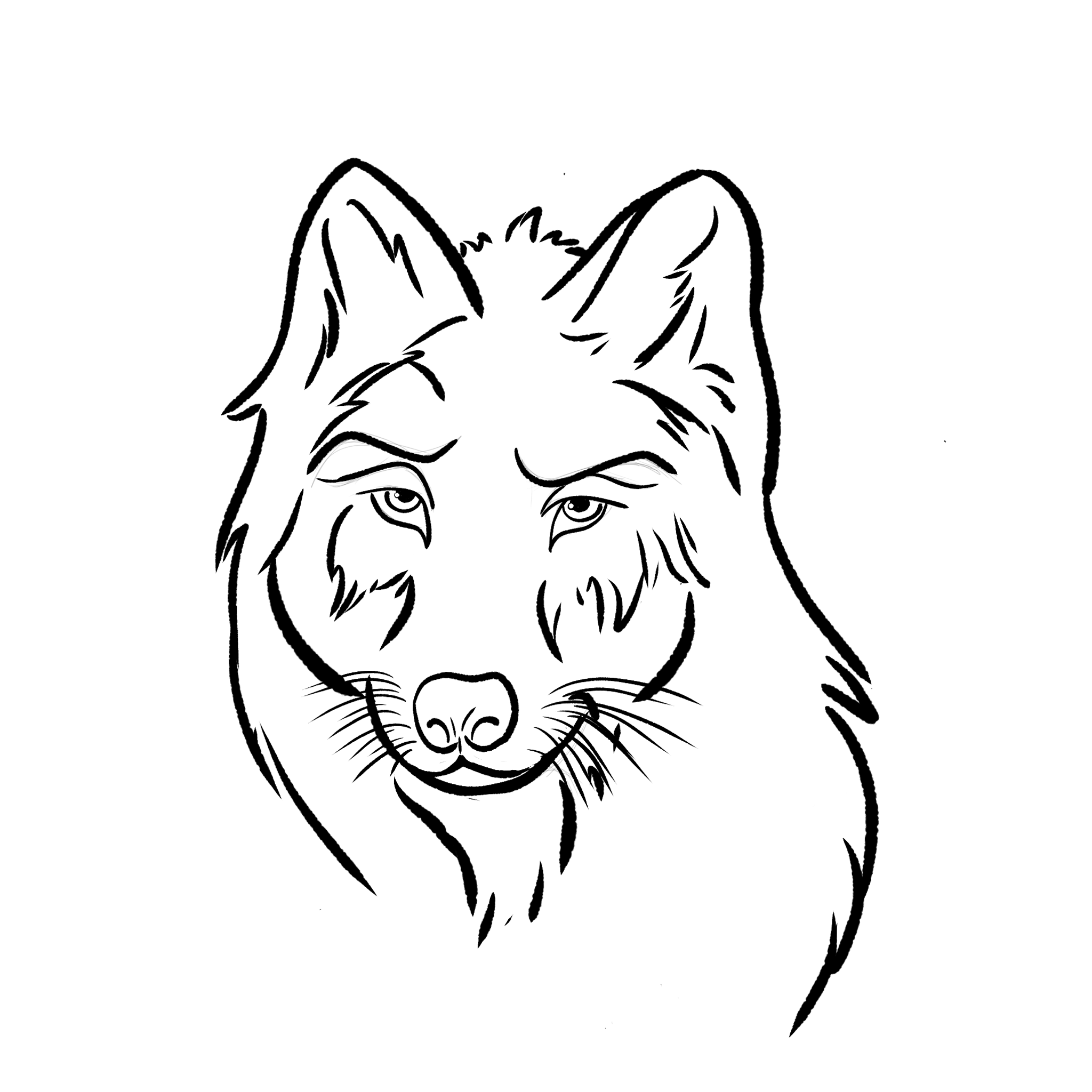 Illustrations animaux & nature – dessin simplifié d’un loup réalisé au numérique