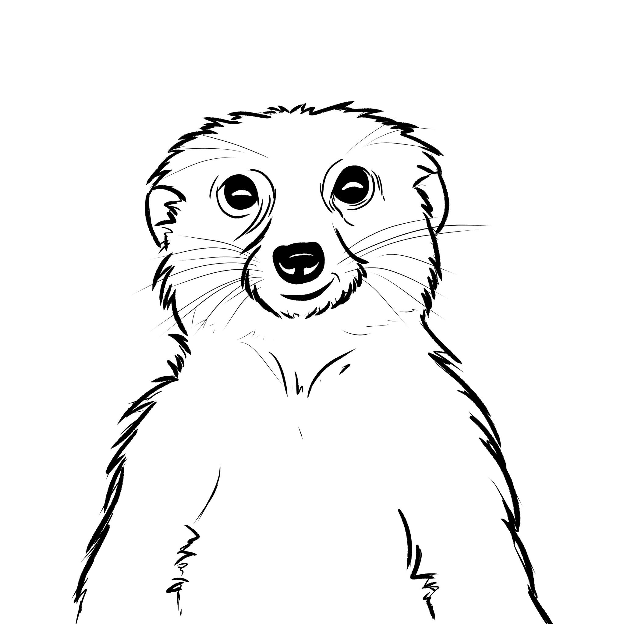 Illustrations animaux & nature – dessin simplifié d’un suricate réalisé au numérique