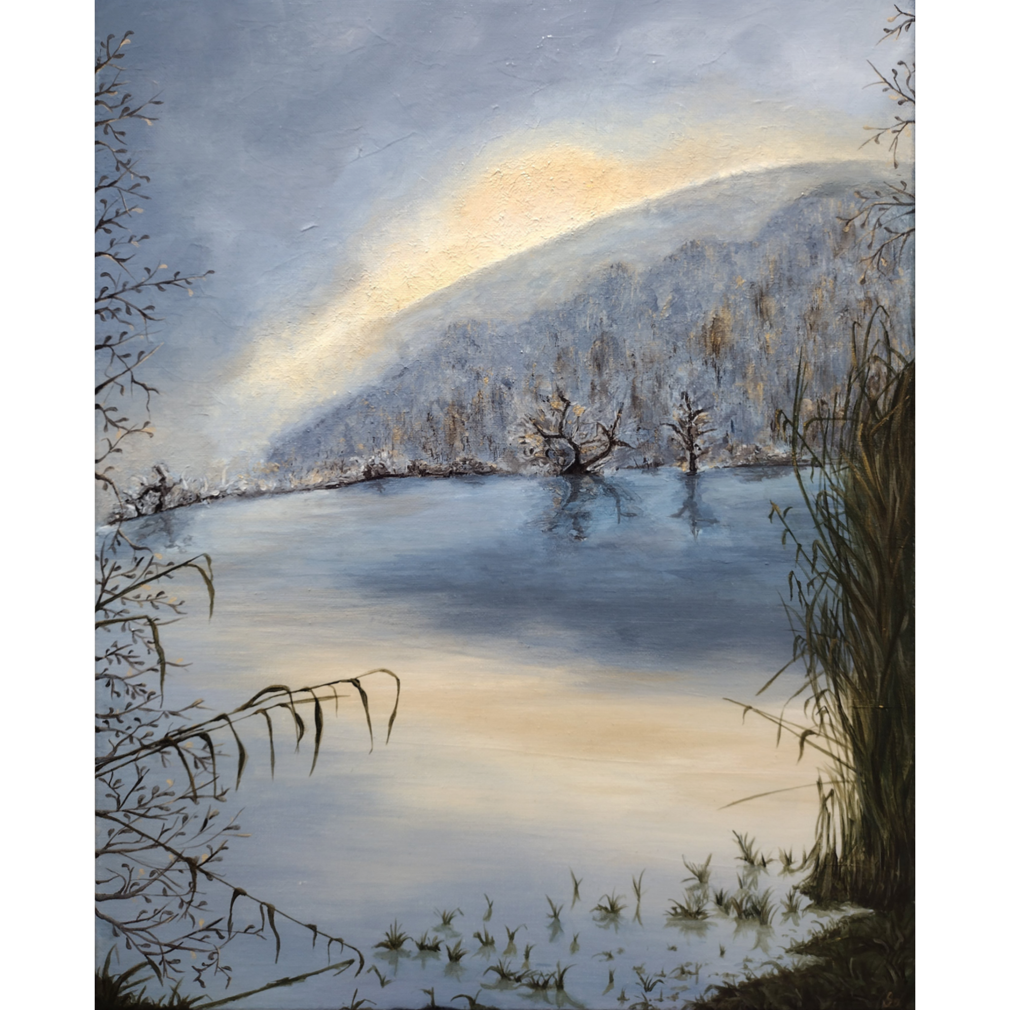 Peintures animaux & nature - Lac