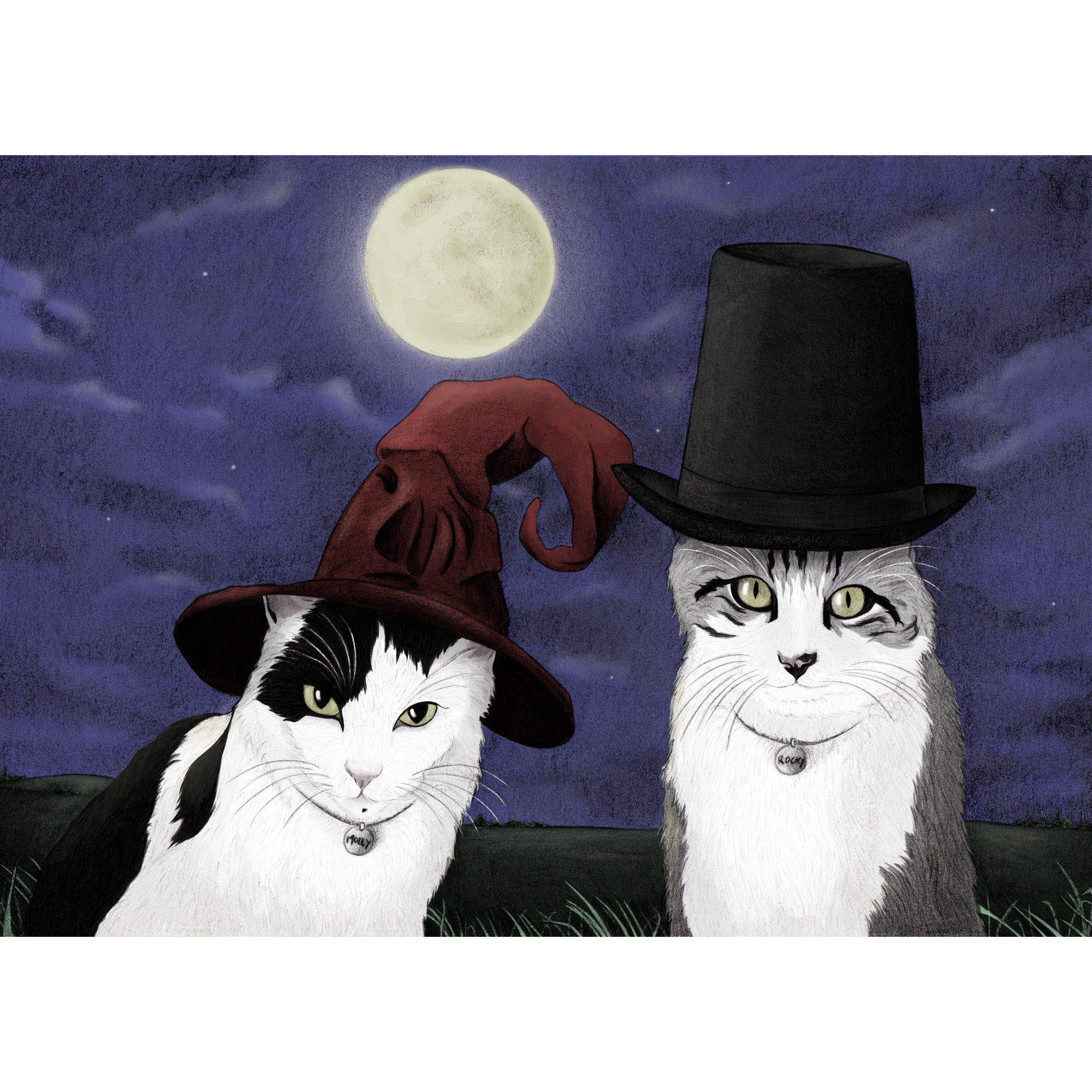Illustrations animaux & nature – Portrait de deux chats, magique noir et blanc