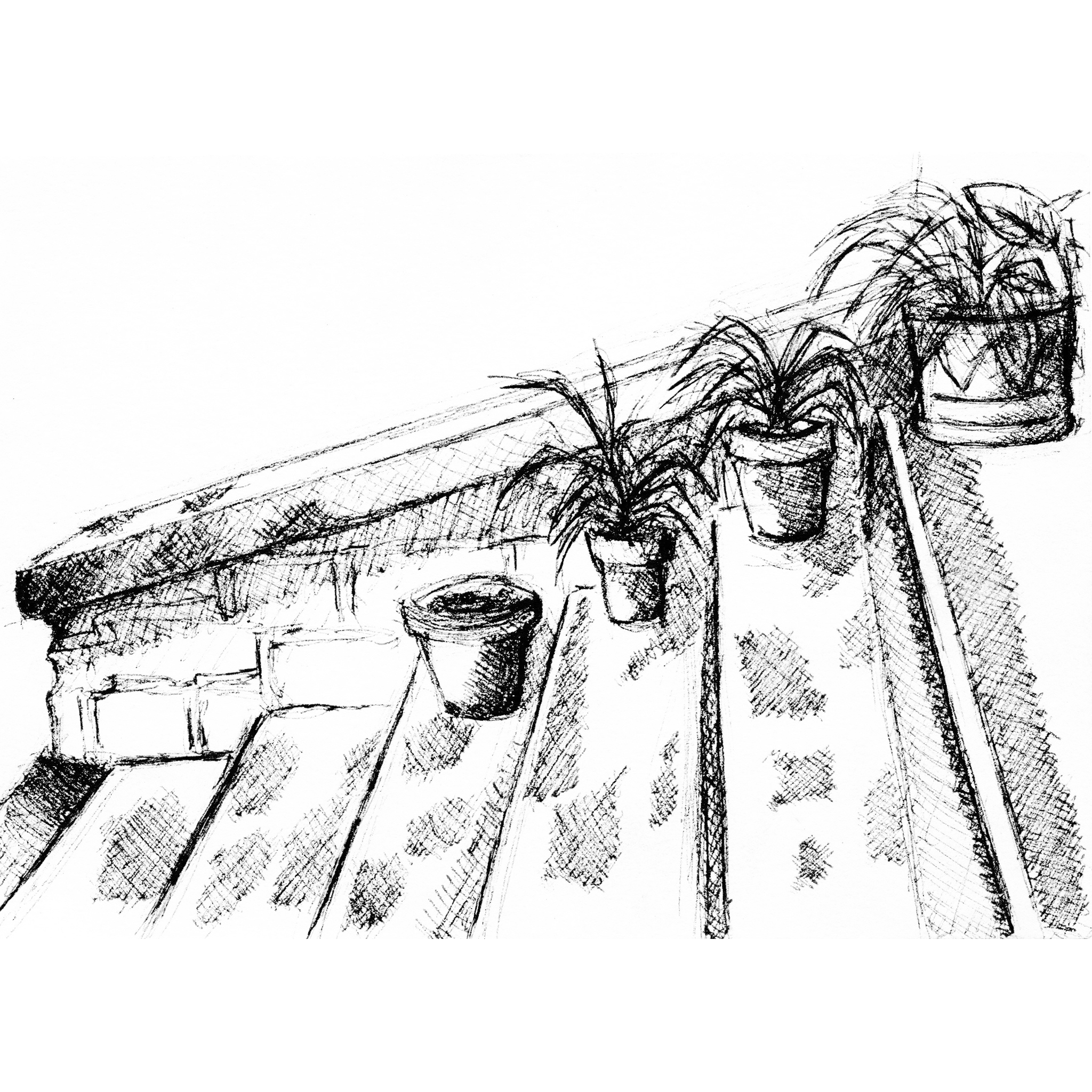 Illustrations animaux & nature – croquis au stylo d’un escalier extérieur avec des plantes