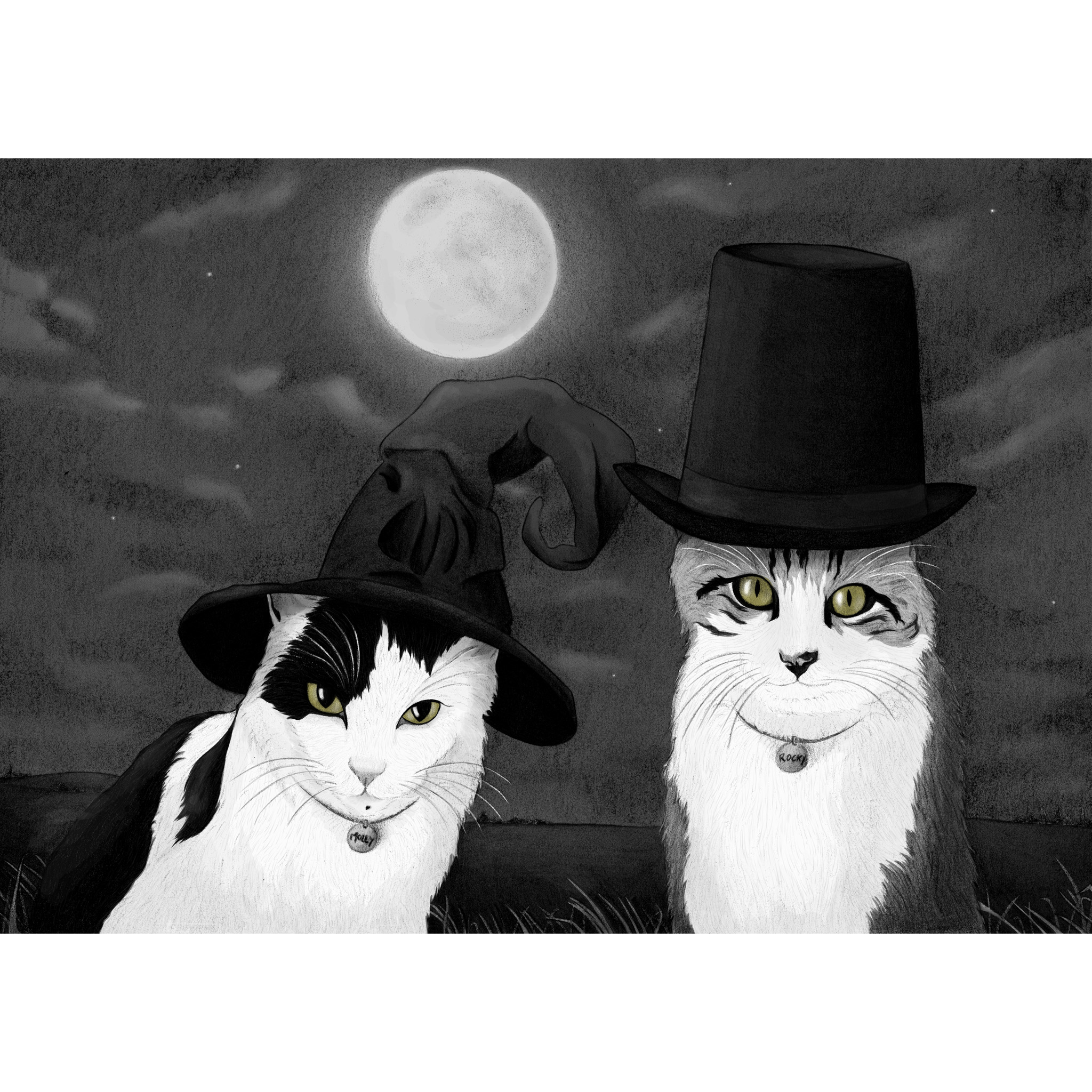 Illustrations animaux & nature – Portrait de deux chats, magique noir et blanc