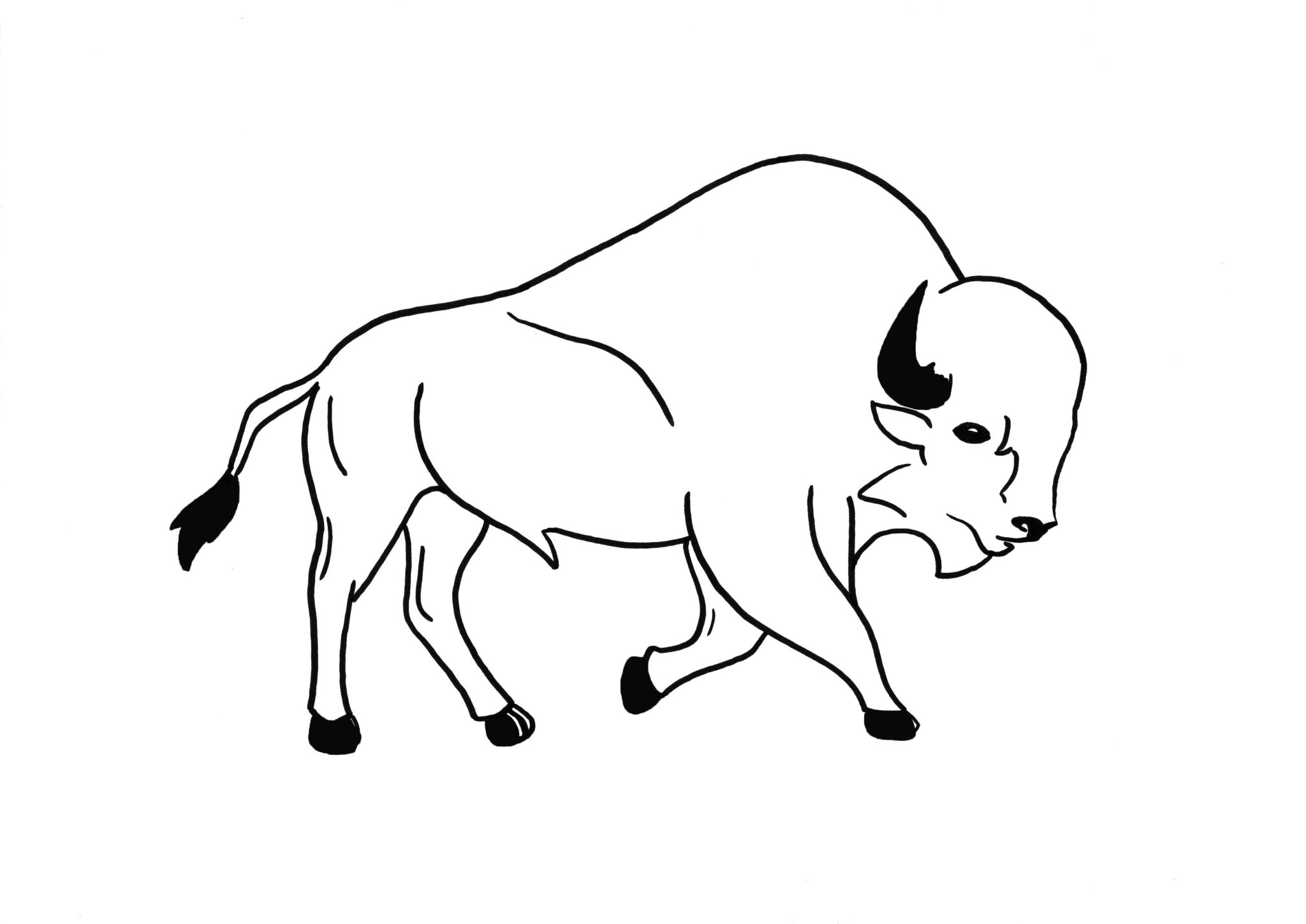 Illustrations animaux & nature – dessin simplifié d’un bison réalisé au feutre