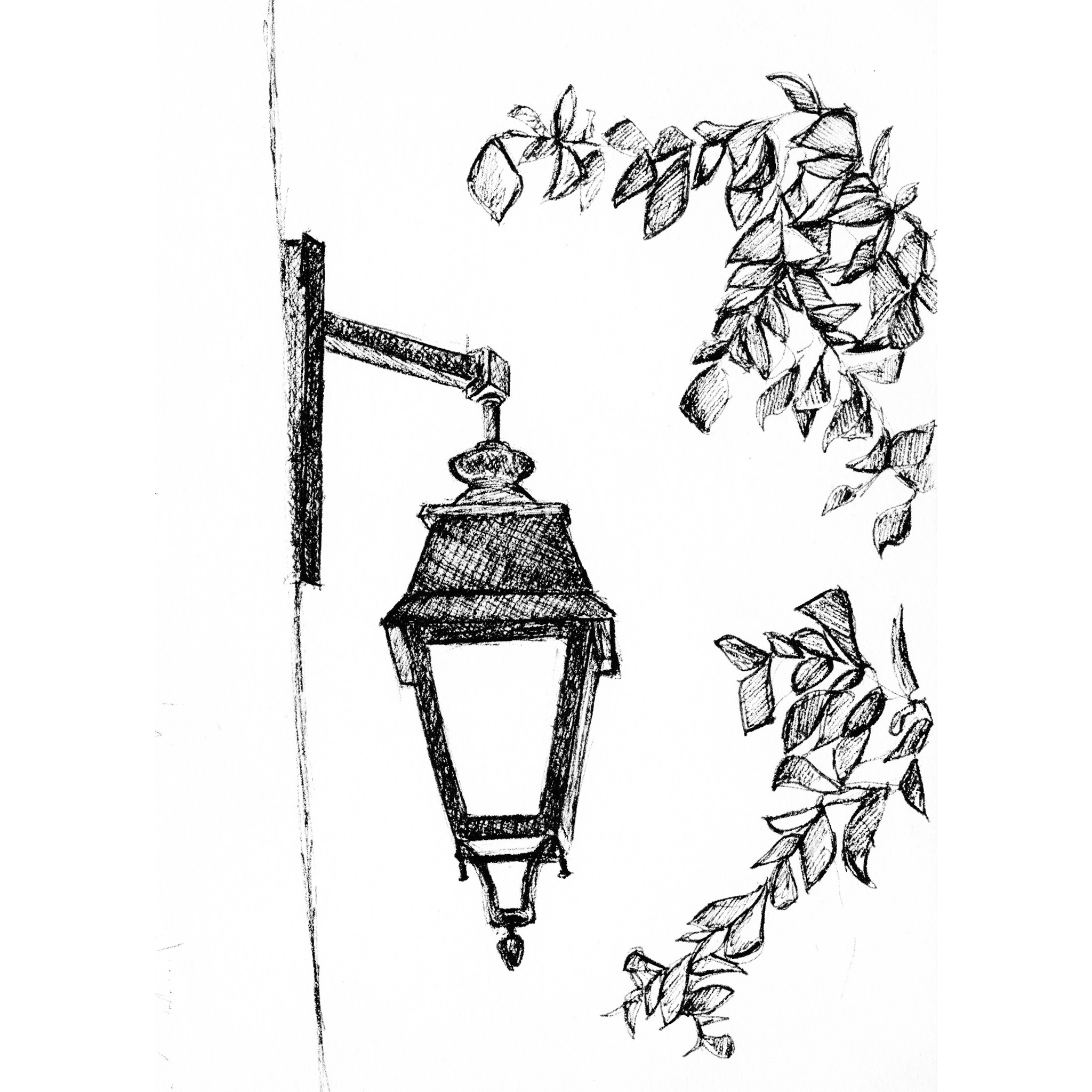 Illustrations animaux & nature – croquis au stylo d’un ancien lampadaire sur le mur d’une maison