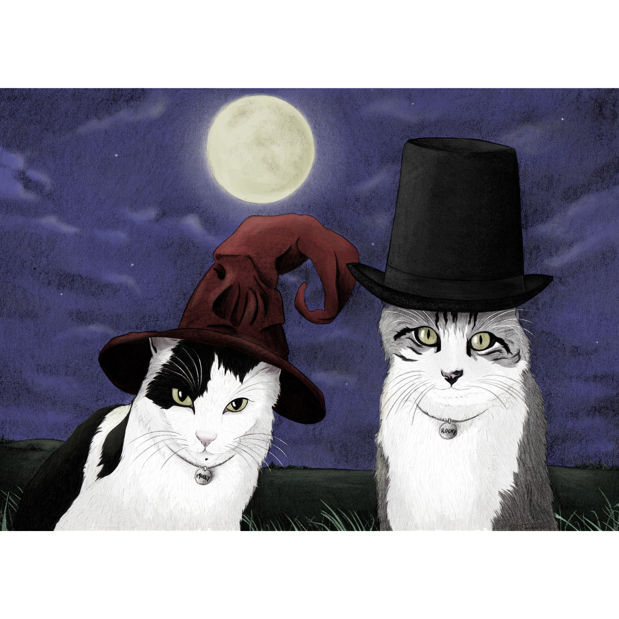 Dessin de chats portraits d'après photo familiers