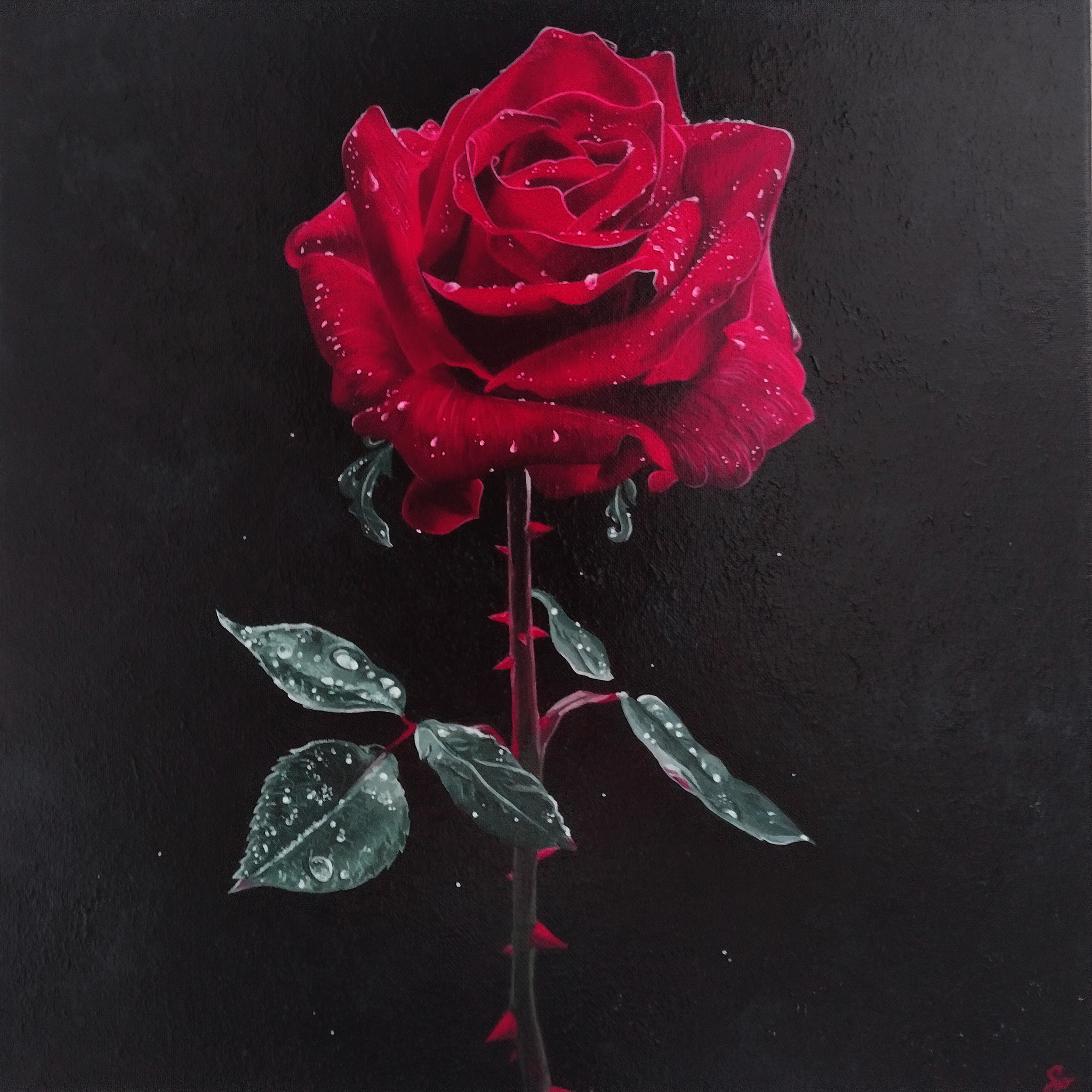 Peinture acrylique, fait main, artiste Occitanie Rose rouge
