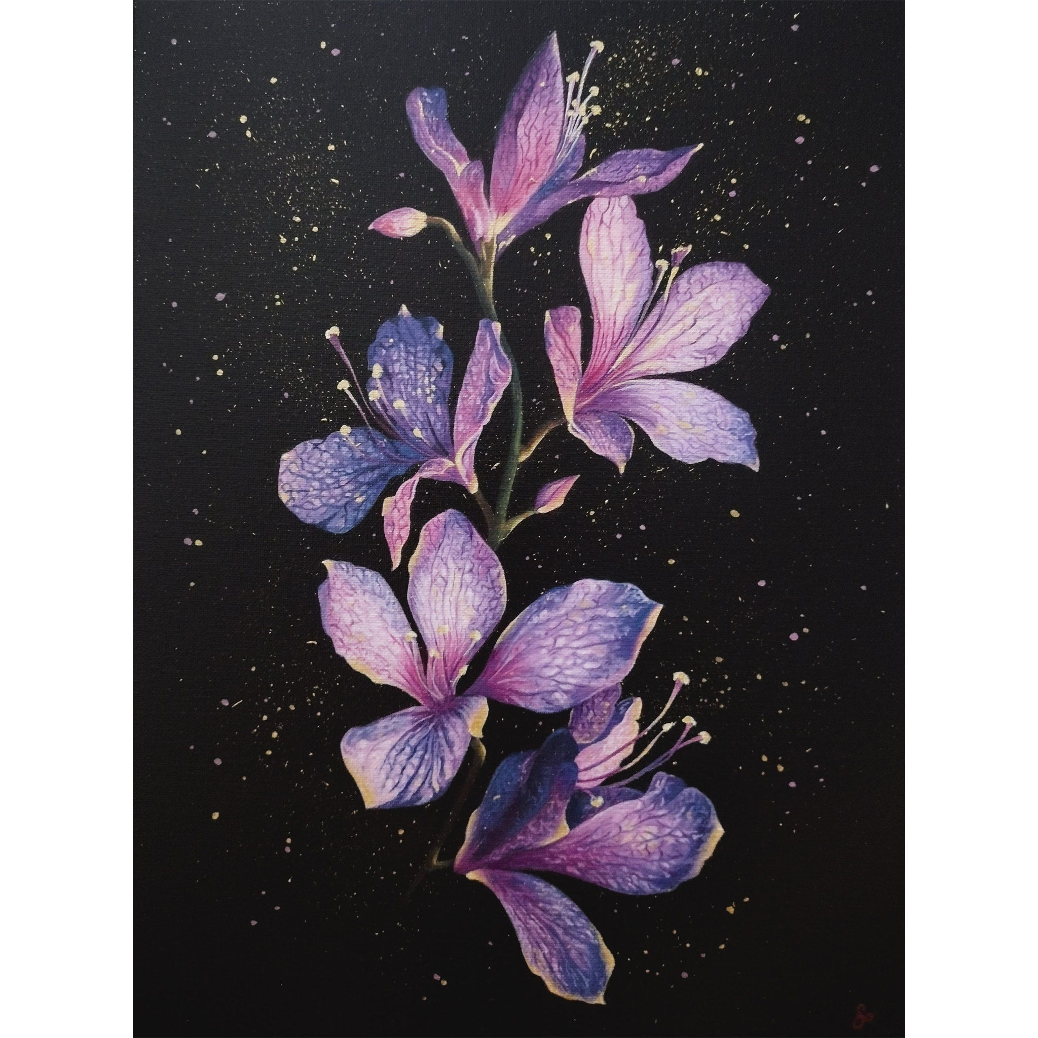 Peinture fait main acrylique lys violet rose, peintre Occitanie galerie de peinture animaux, fleurs